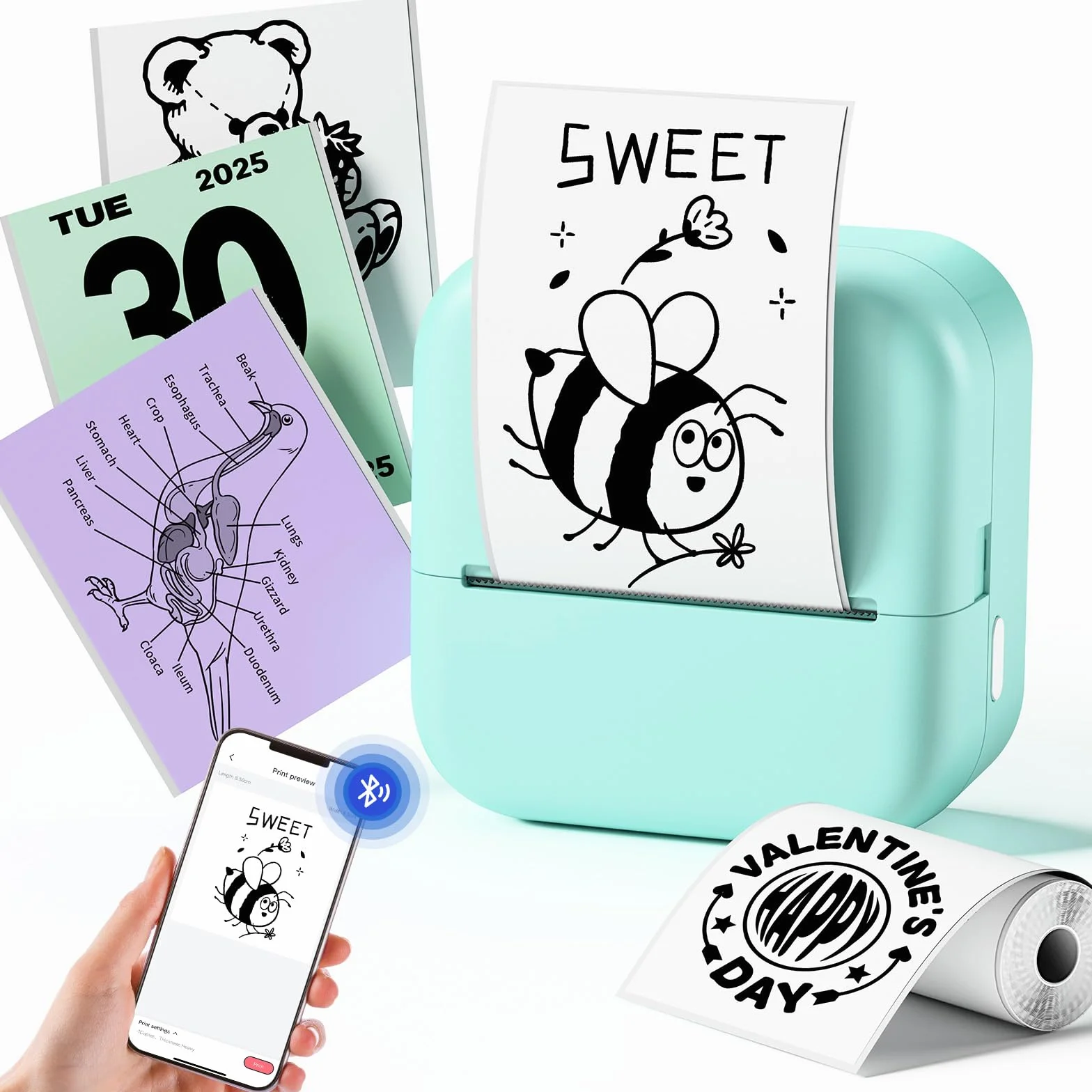 Sticker Drucker Mini für Smartphone, Bluetooth Thermodrucker 203DPI, Pocket Aufkleber Drucker M02L Farbig, inklusive 1 Papierrolle für Studium, Journal, Fotos, Geschenke & Anatomische Diagramme, Grün